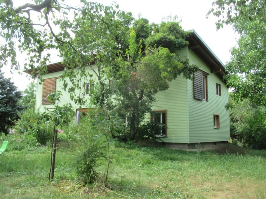 Ferienwohnung Im Gruenen Gottenheim Екстериор снимка
