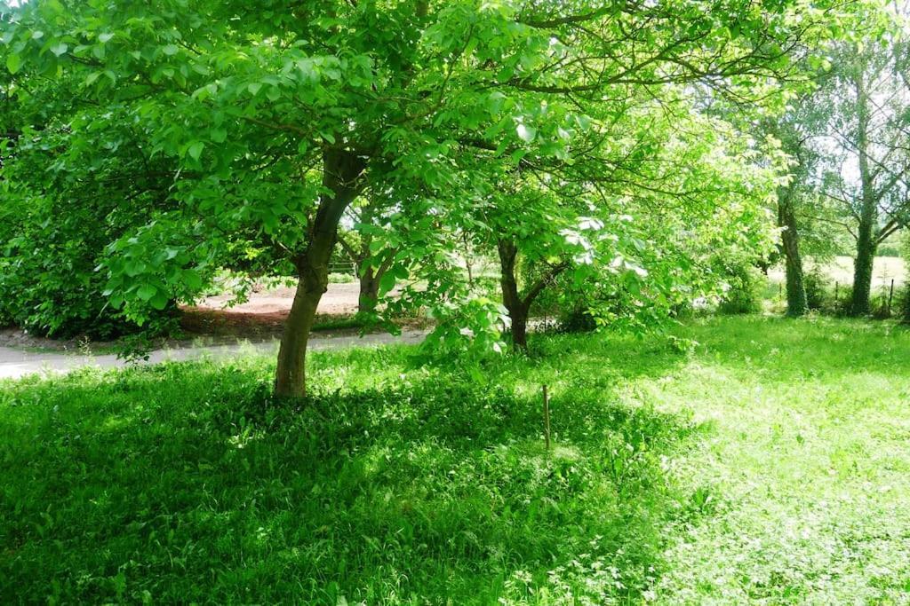 Ferienwohnung Im Gruenen Gottenheim Екстериор снимка