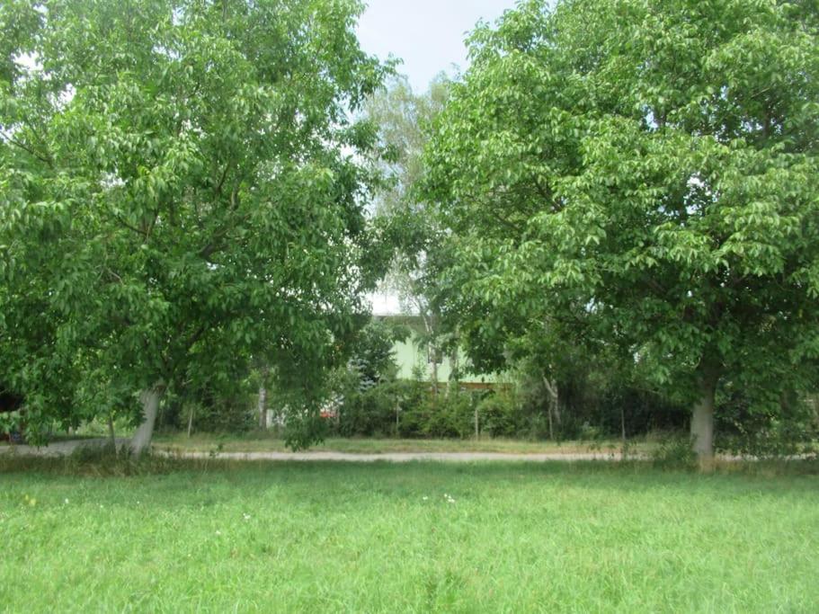 Ferienwohnung Im Gruenen Gottenheim Екстериор снимка
